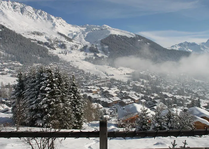 Les Sapins Bleus 3* فيربير